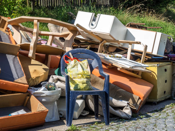 Best Professional Junk Removal  in Pipestone, MN