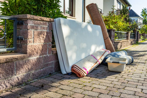 Best Office Junk Removal  in Pipestone, MN